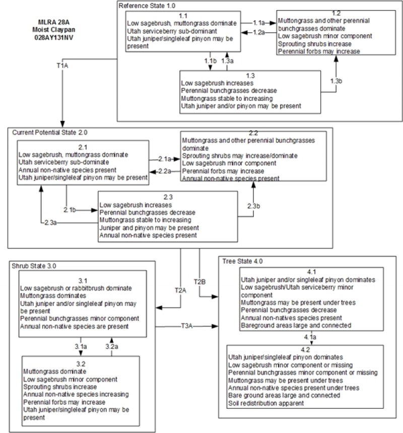 Model diagram