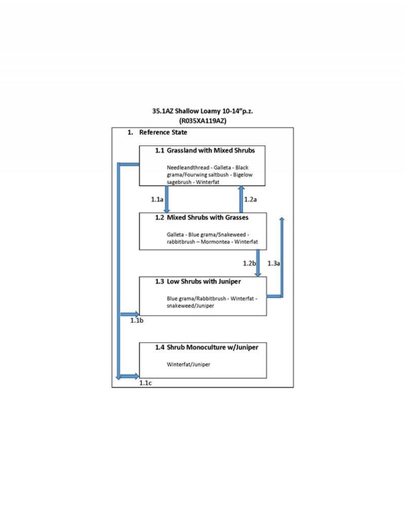 Model diagram