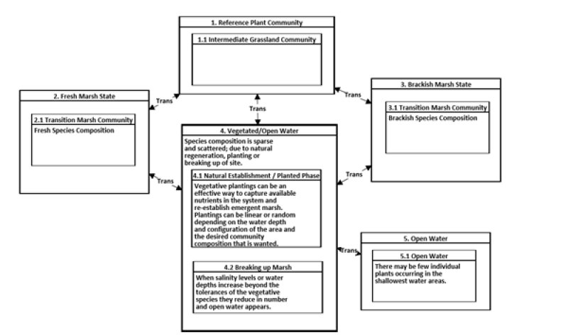 Model diagram