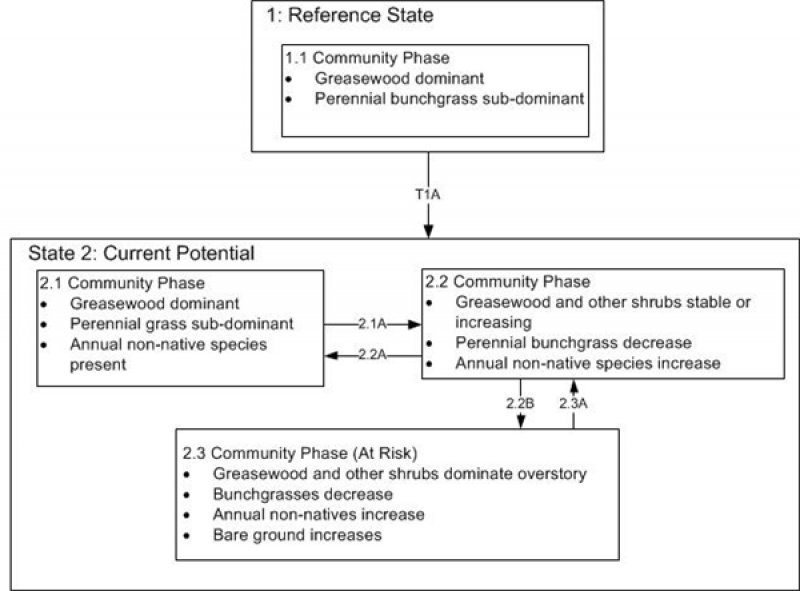 Model diagram
