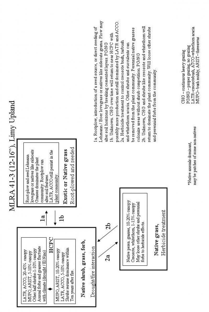 Model diagram
