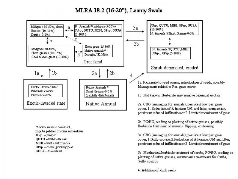 Model diagram