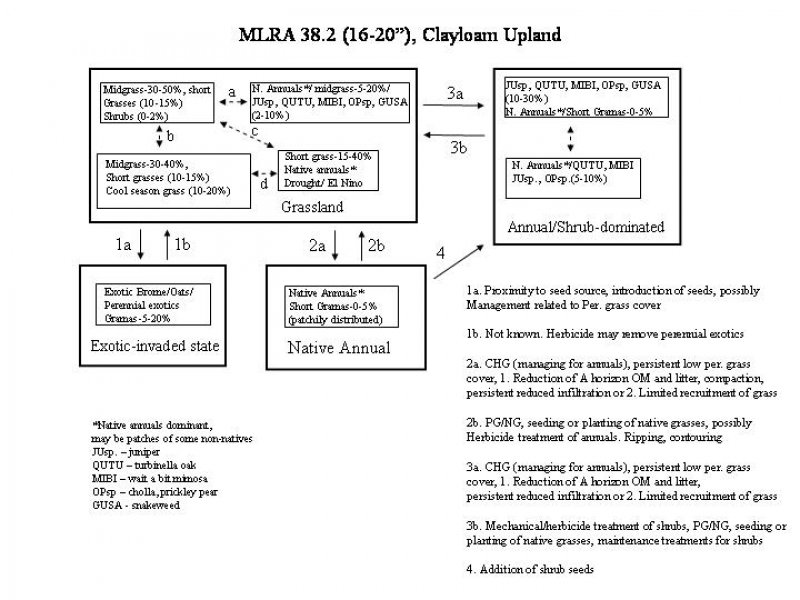 Model diagram
