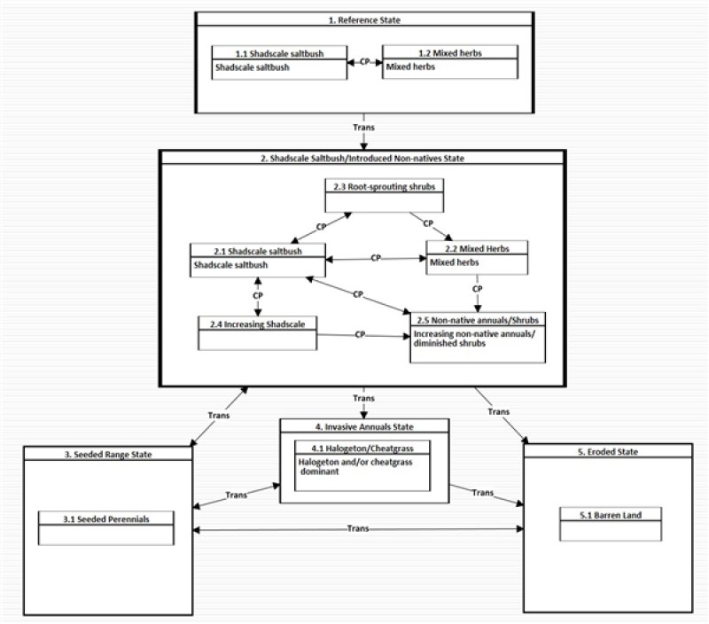 Model diagram