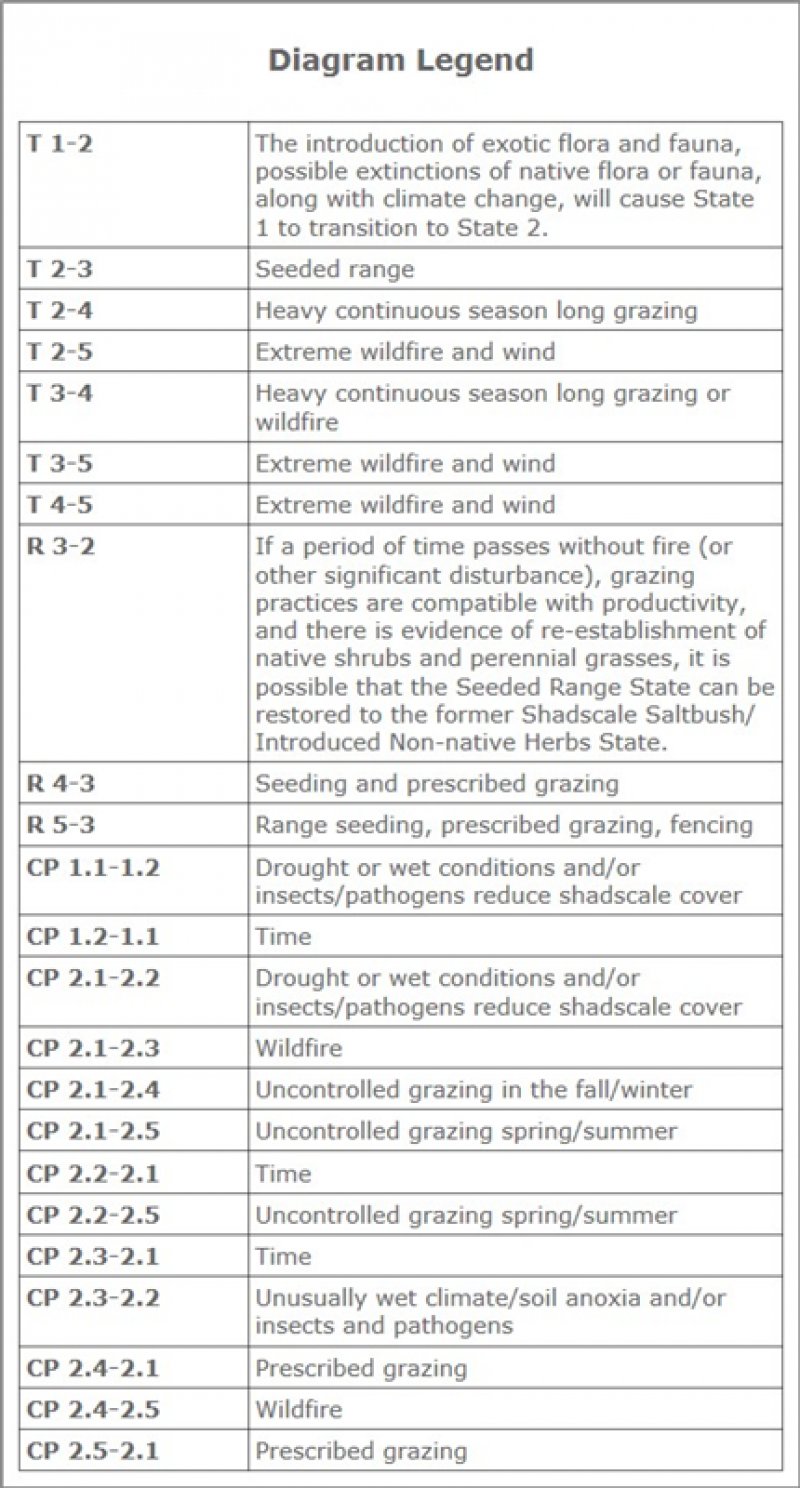 Model diagram