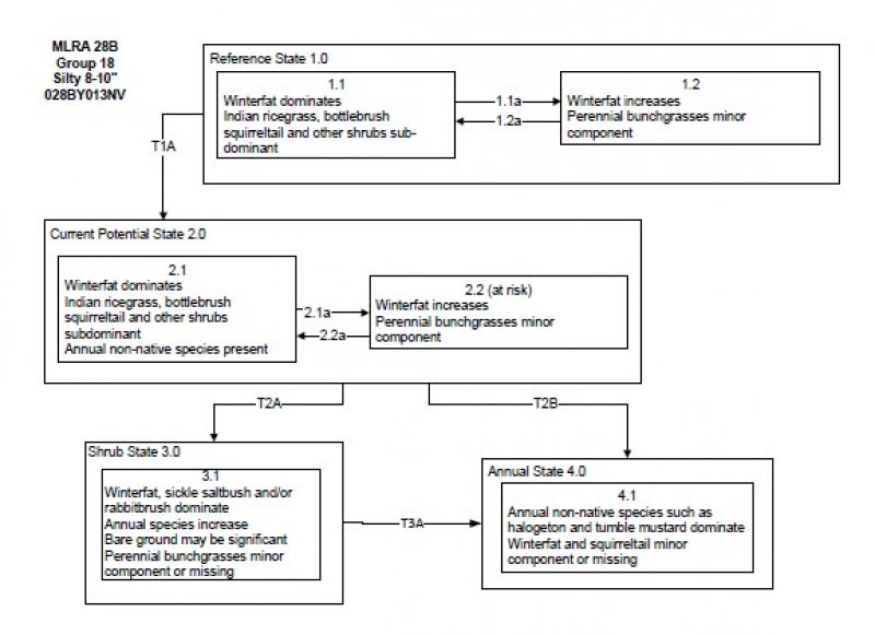 Model diagram