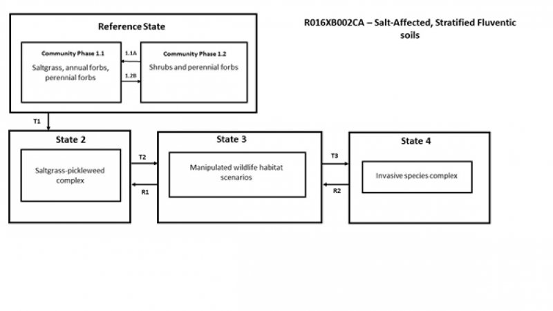 Model diagram