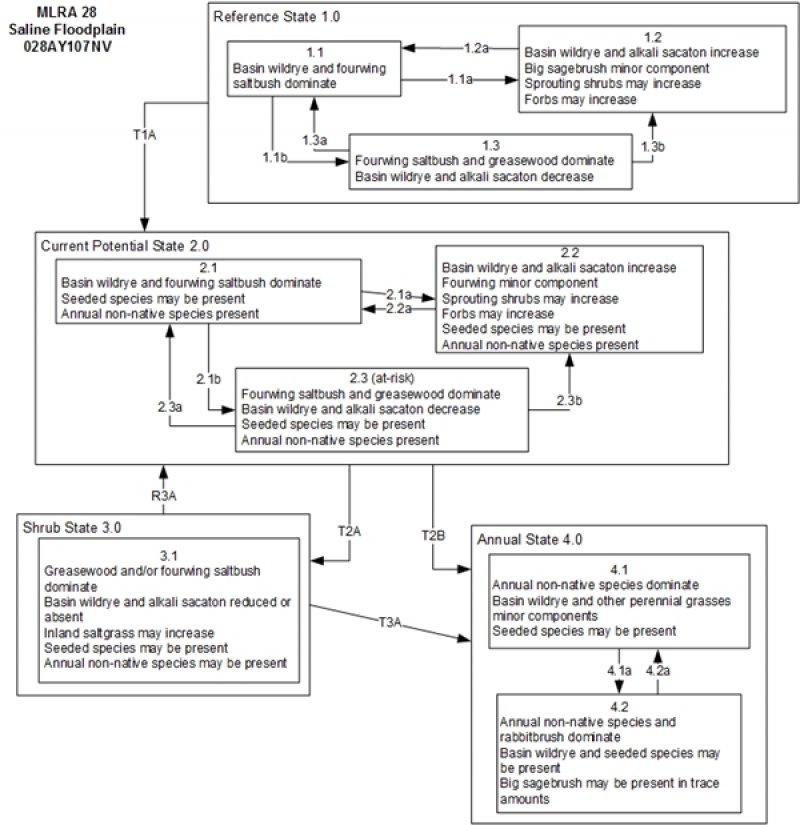 Model diagram