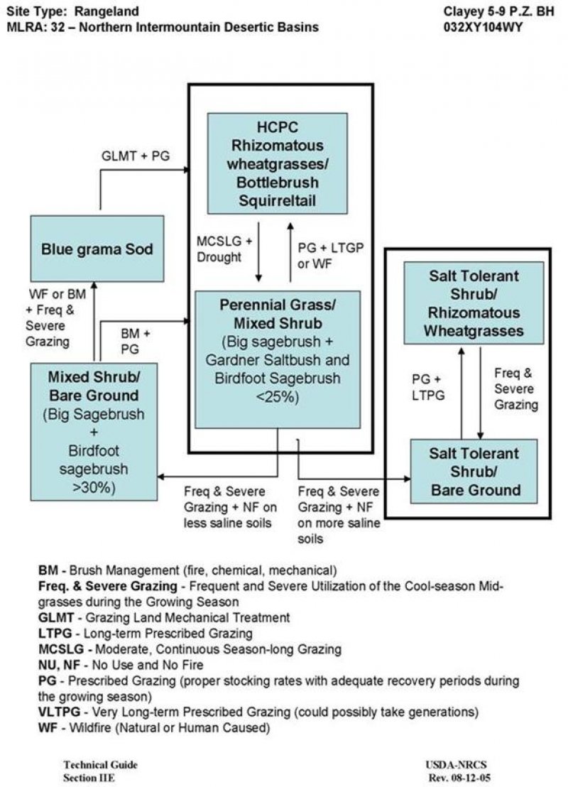 Model diagram