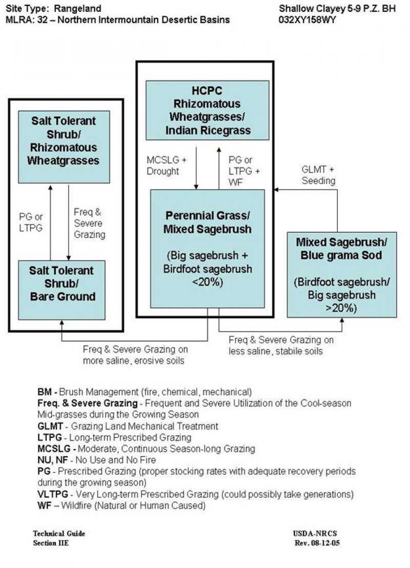 Model diagram