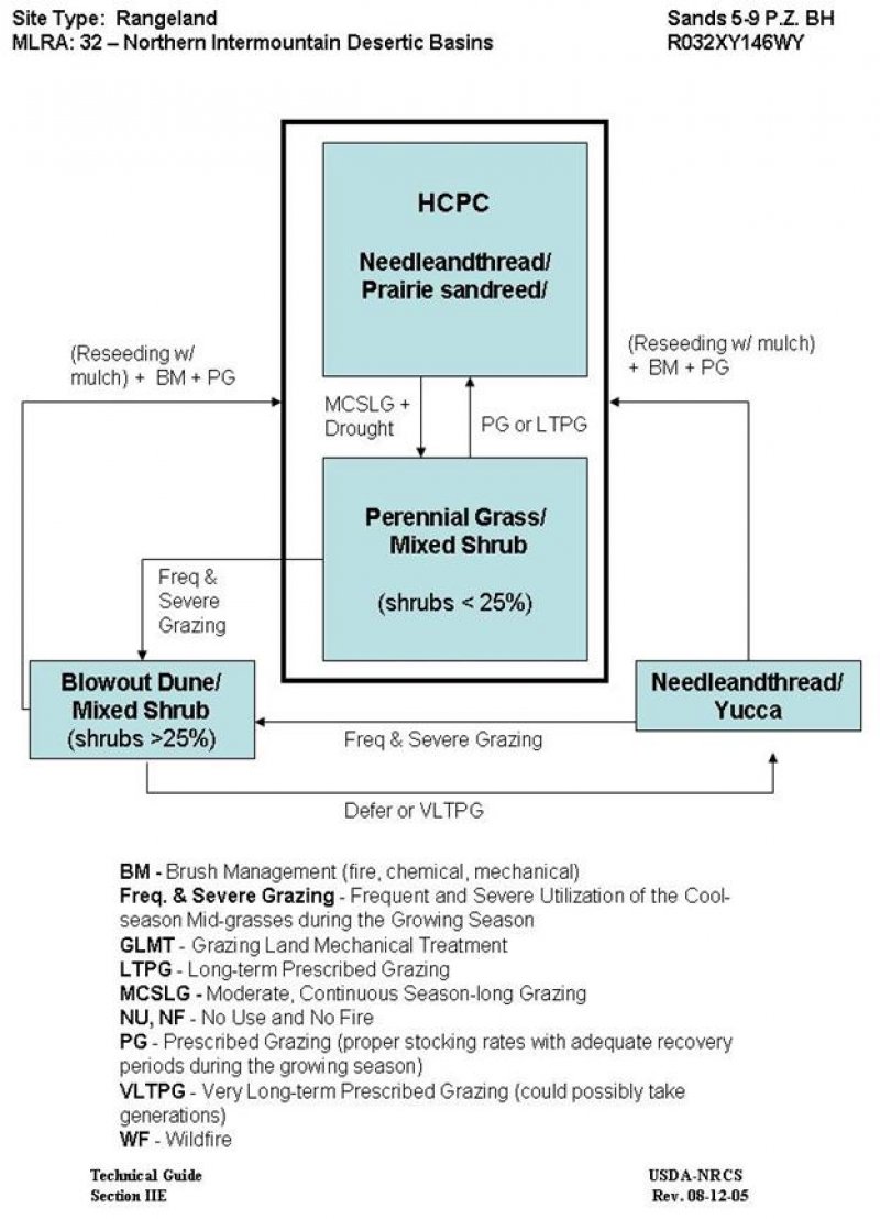 Model diagram