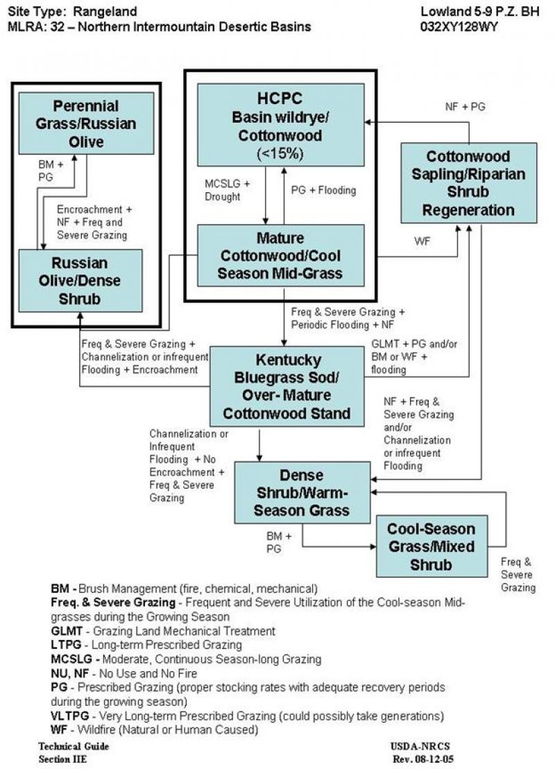 Model diagram