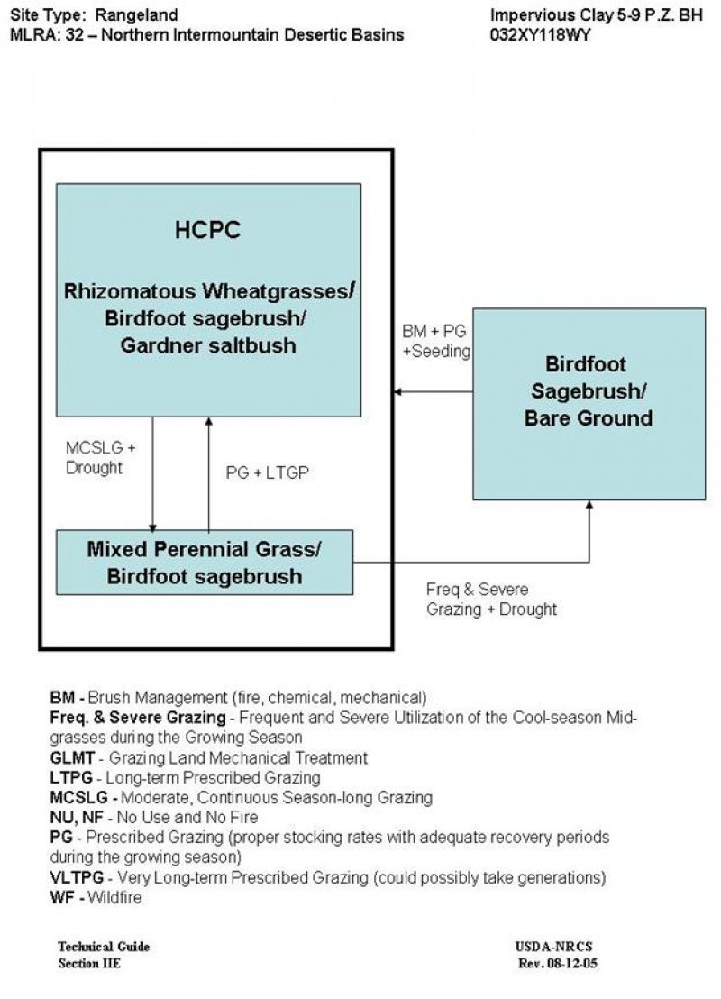 Model diagram