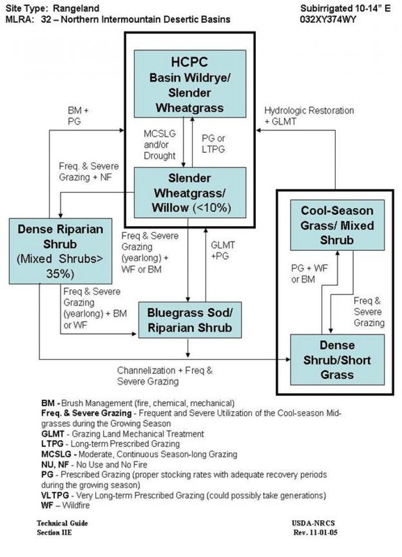 Model diagram