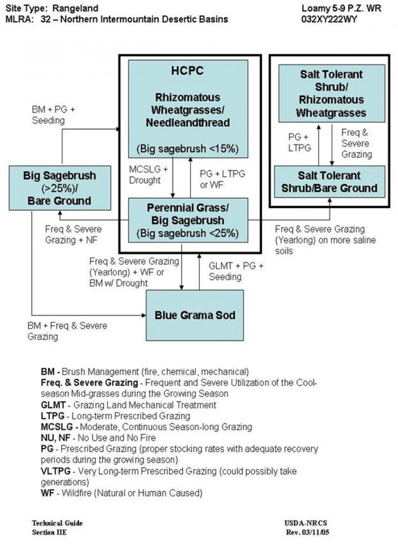 Model diagram