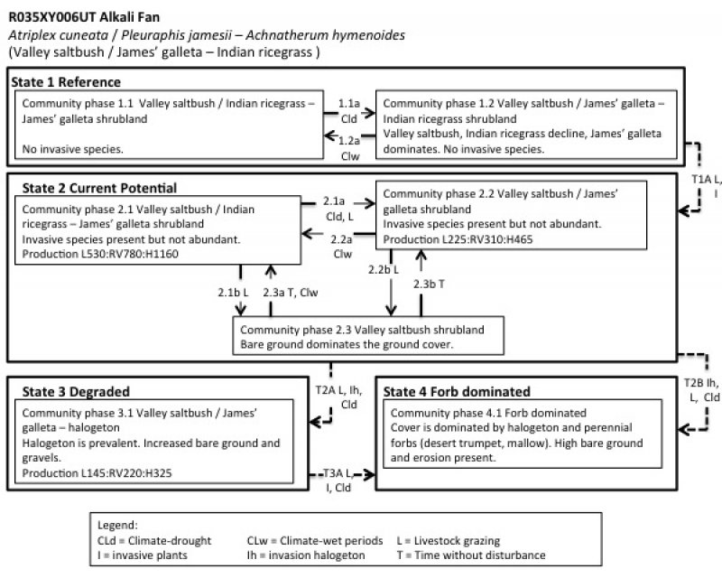 Model diagram