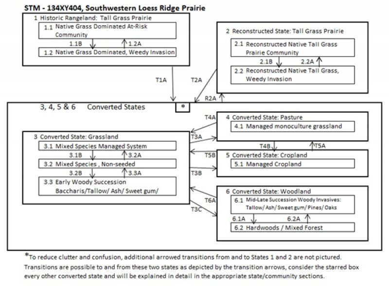 Model diagram