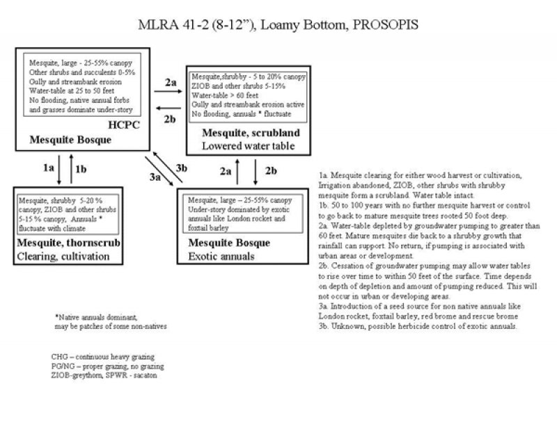 Model diagram