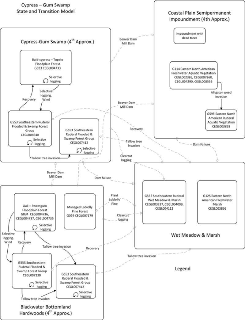 Model diagram