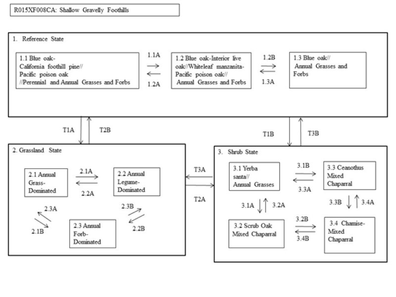 Model diagram