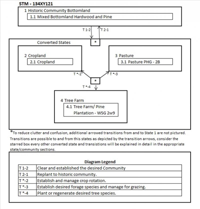 Model diagram