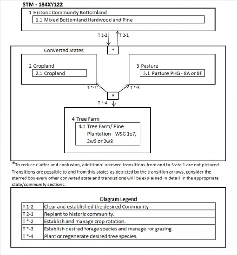 Model diagram