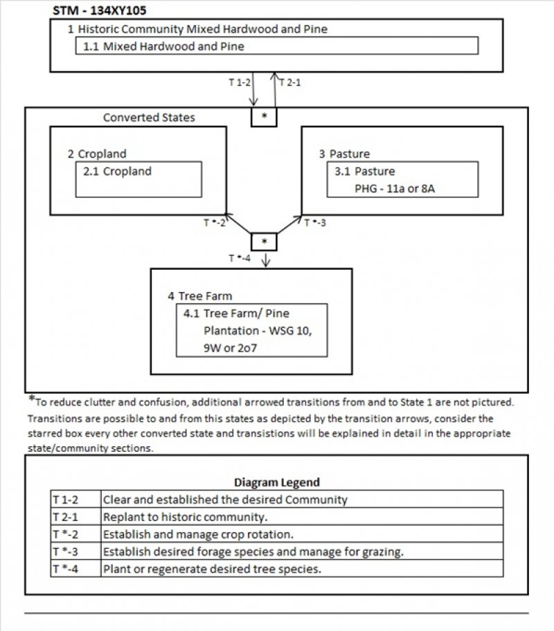 Model diagram