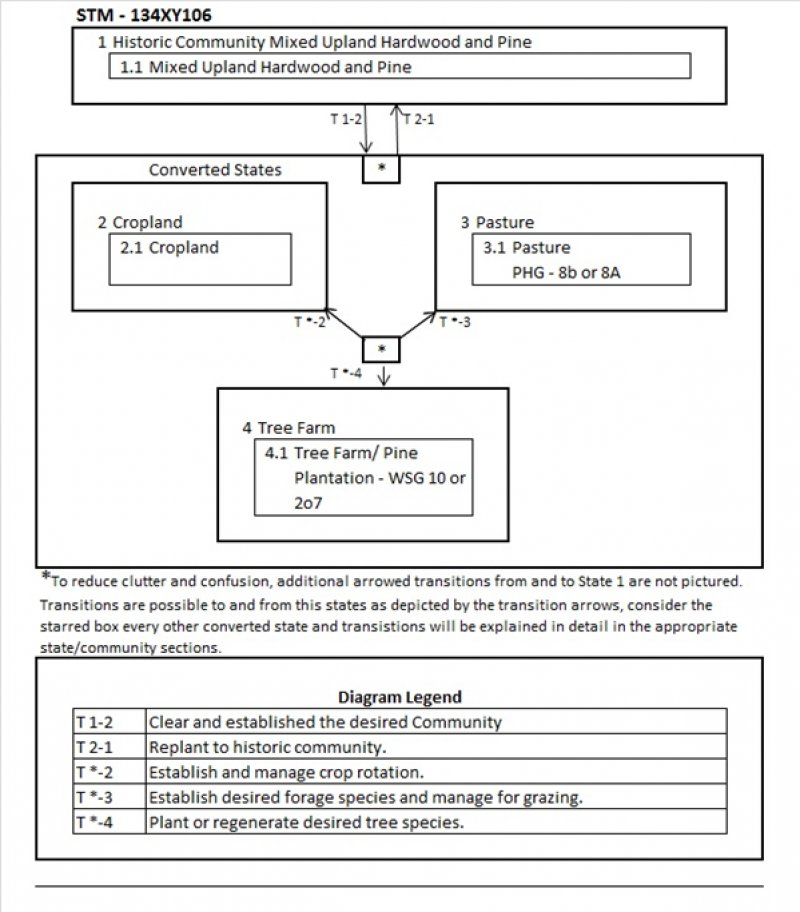 Model diagram