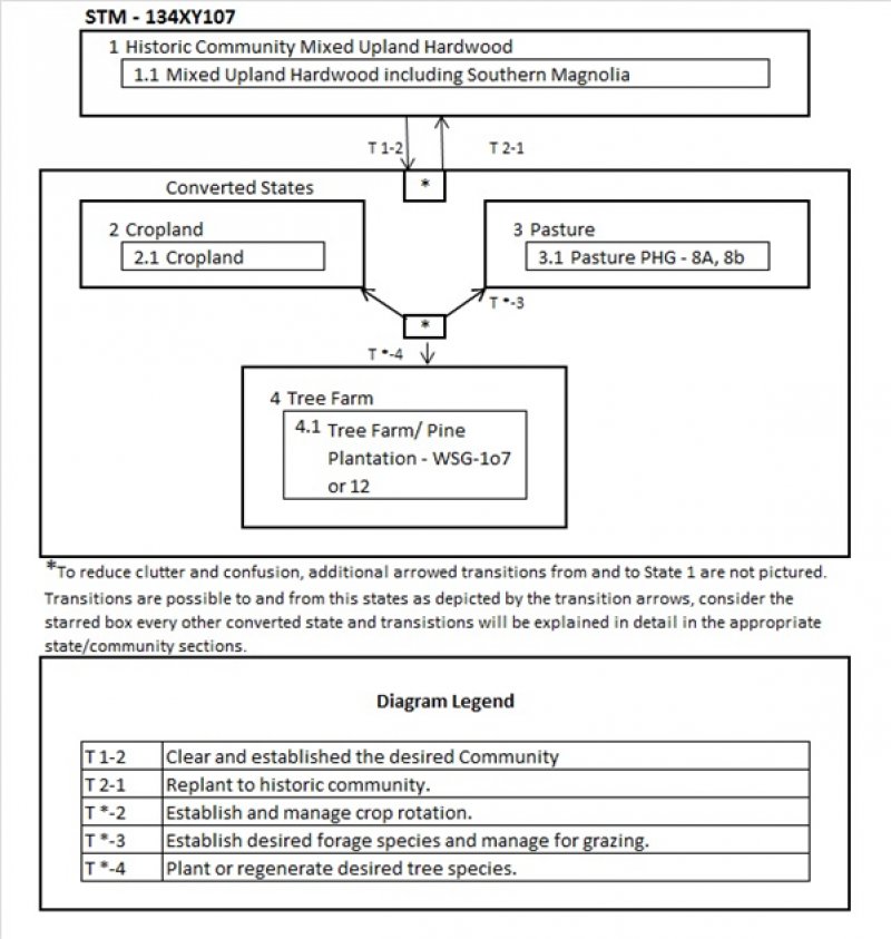 Model diagram