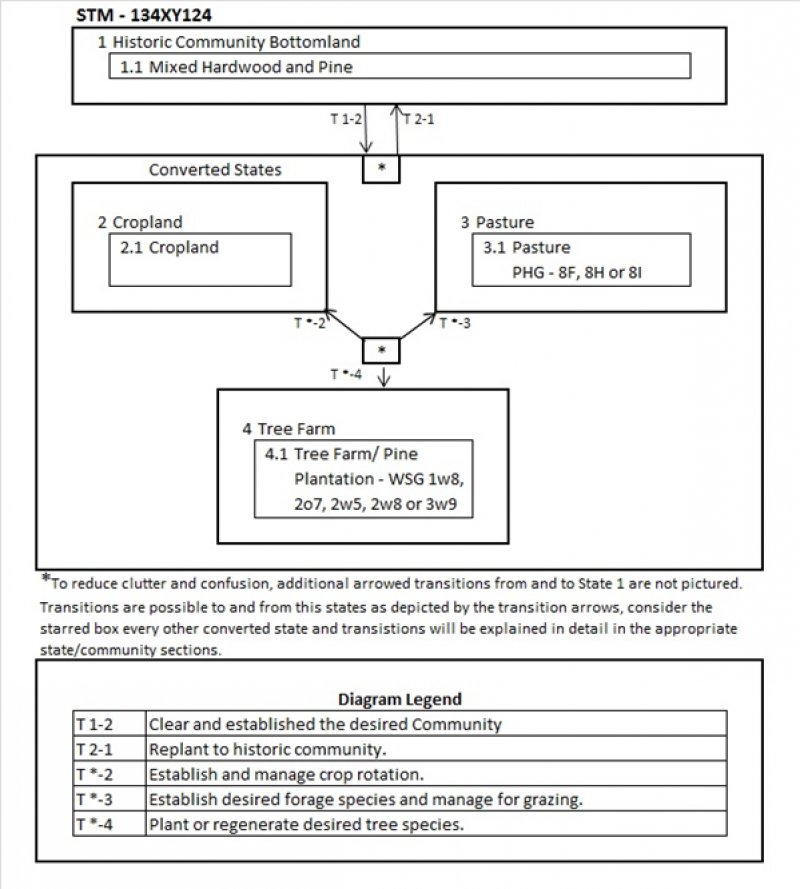 Model diagram