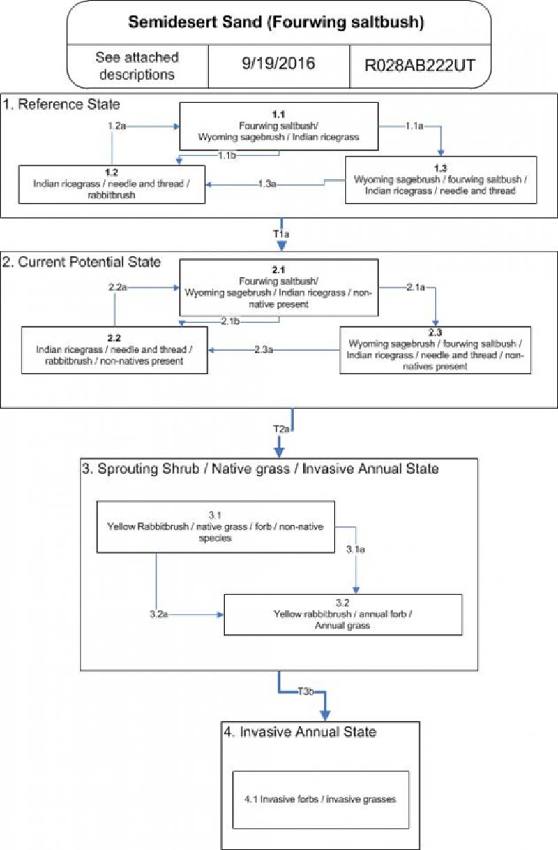 Model diagram