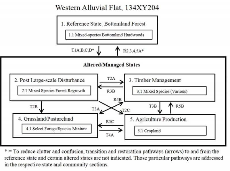 Model diagram