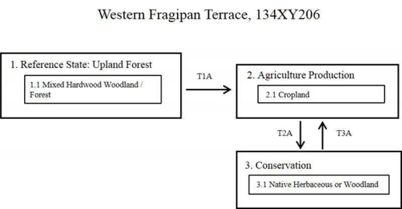 Model diagram