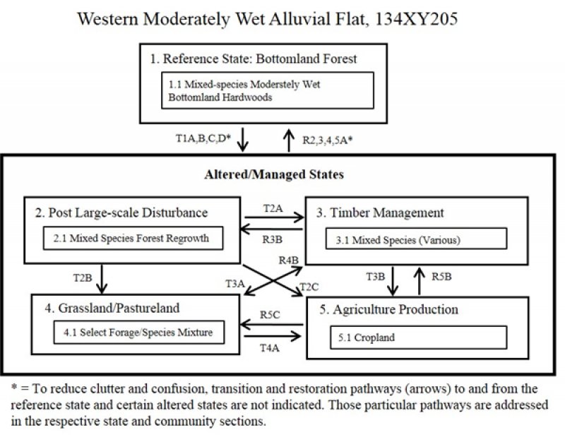 Model diagram