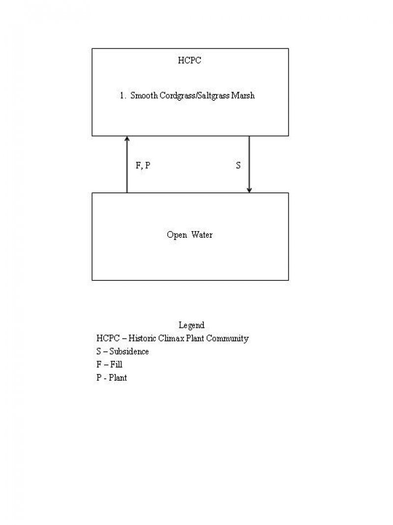 Model diagram