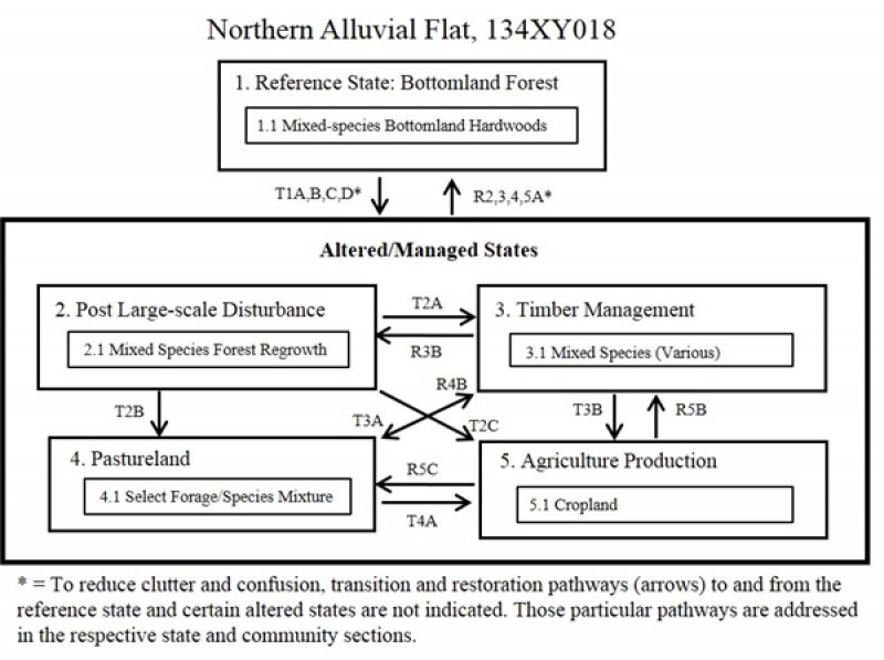 Model diagram