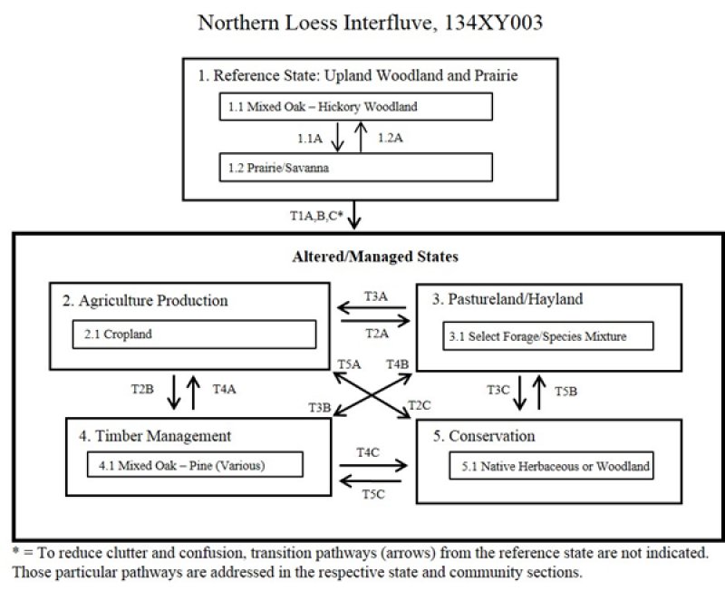 Model diagram