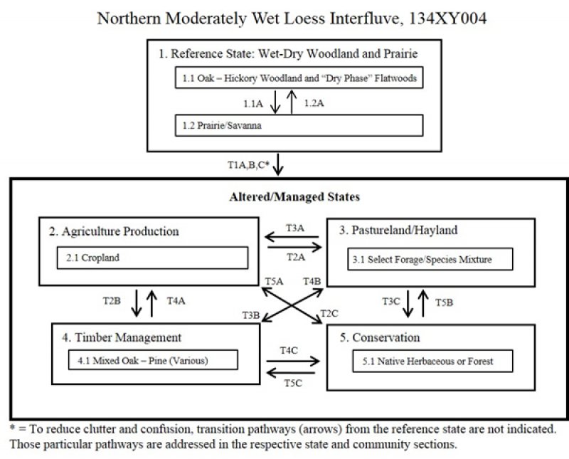 Model diagram