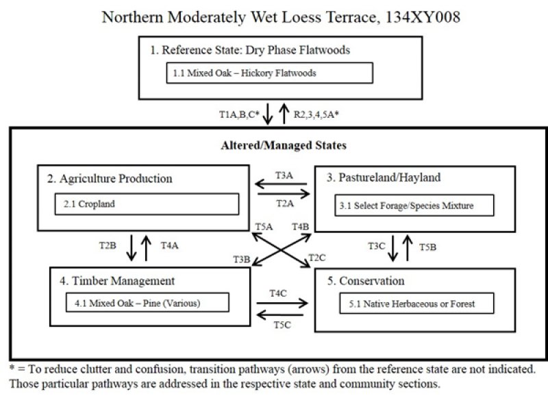 Model diagram