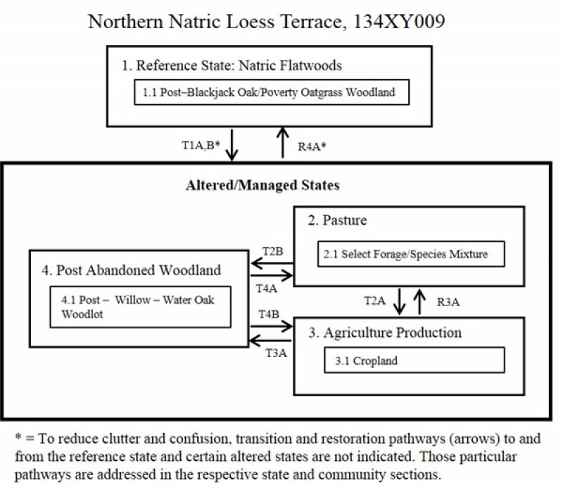 Model diagram
