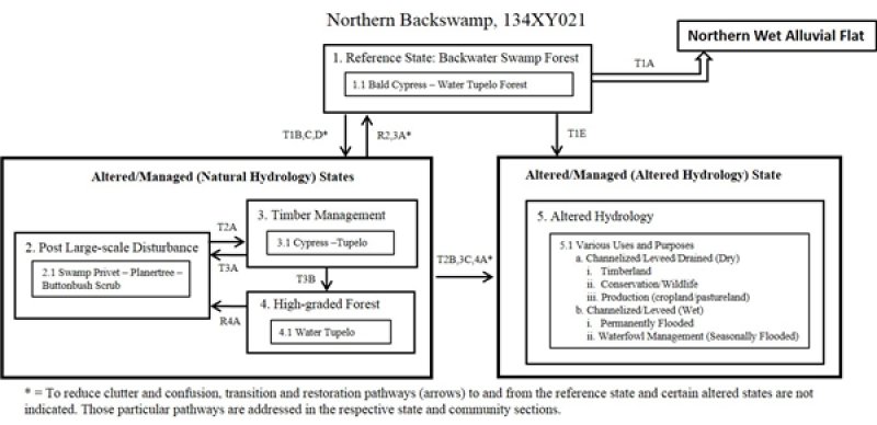 Model diagram