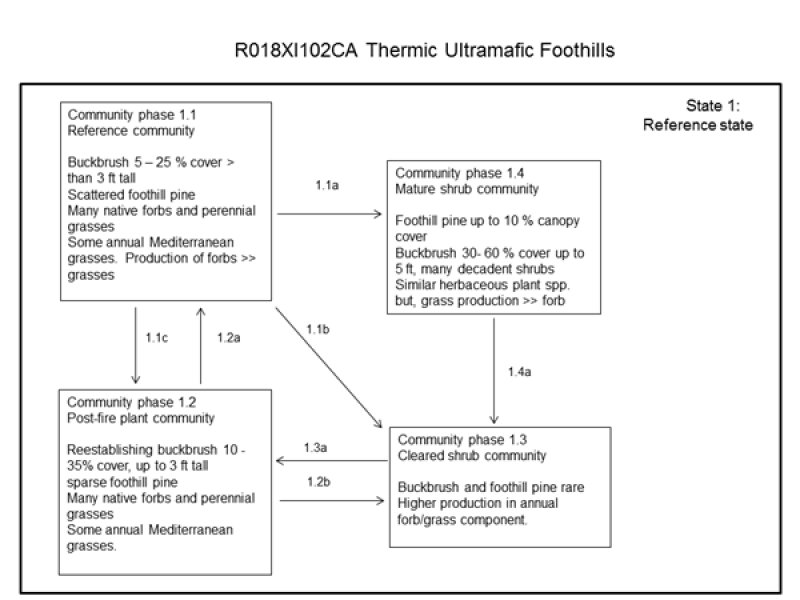 Model diagram