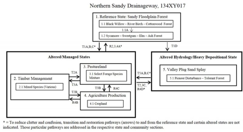 Model diagram