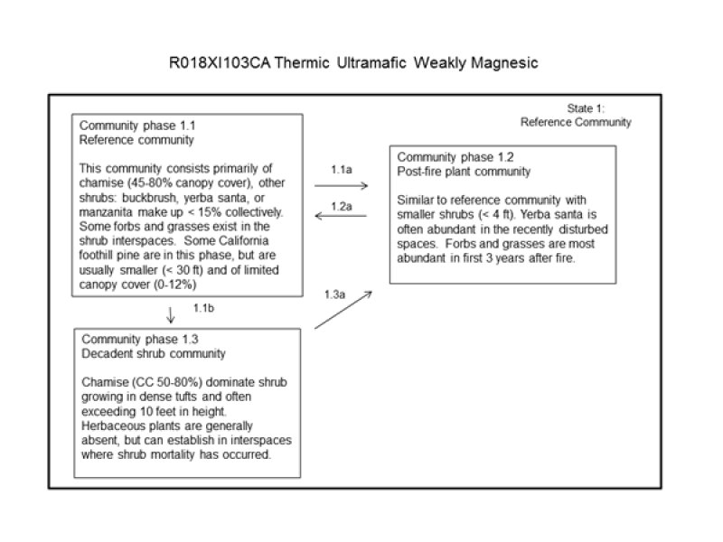 Model diagram
