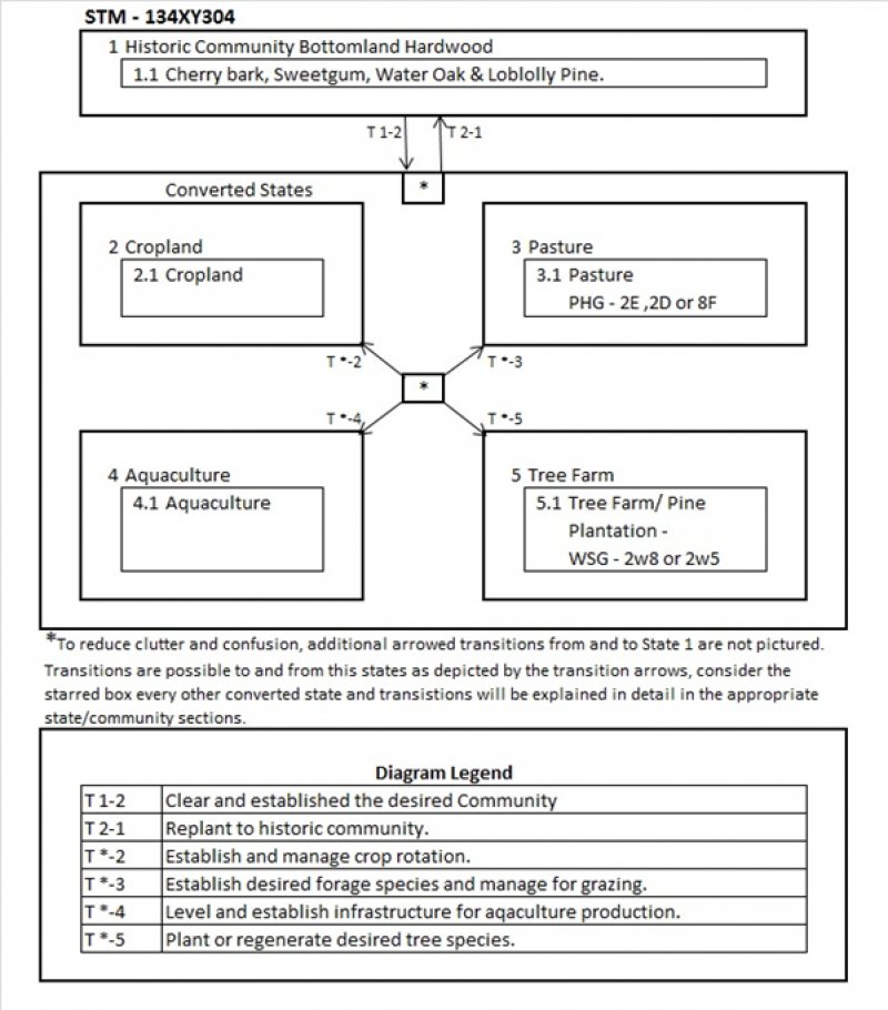 Model diagram