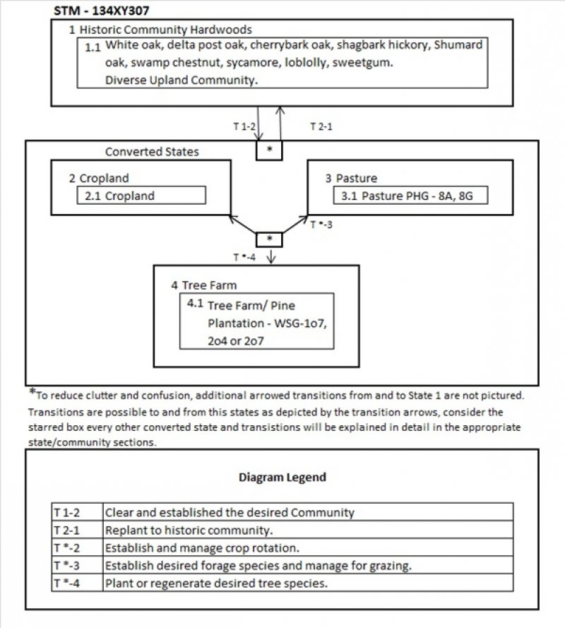 Model diagram
