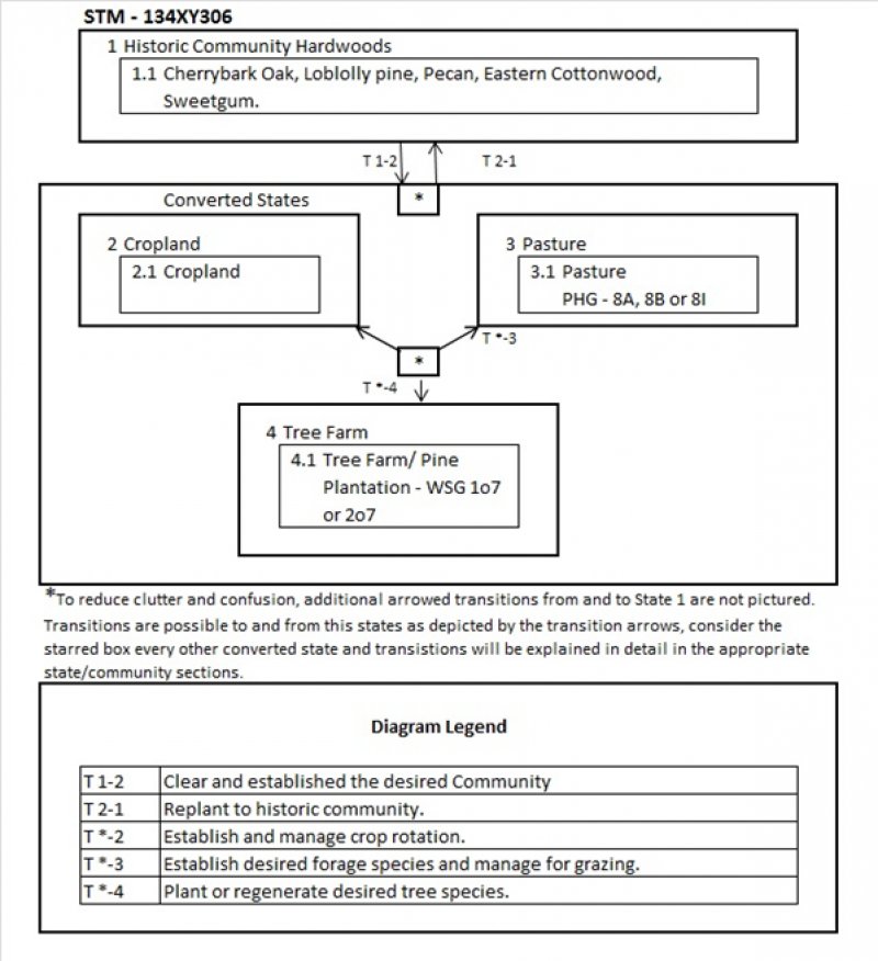 Model diagram