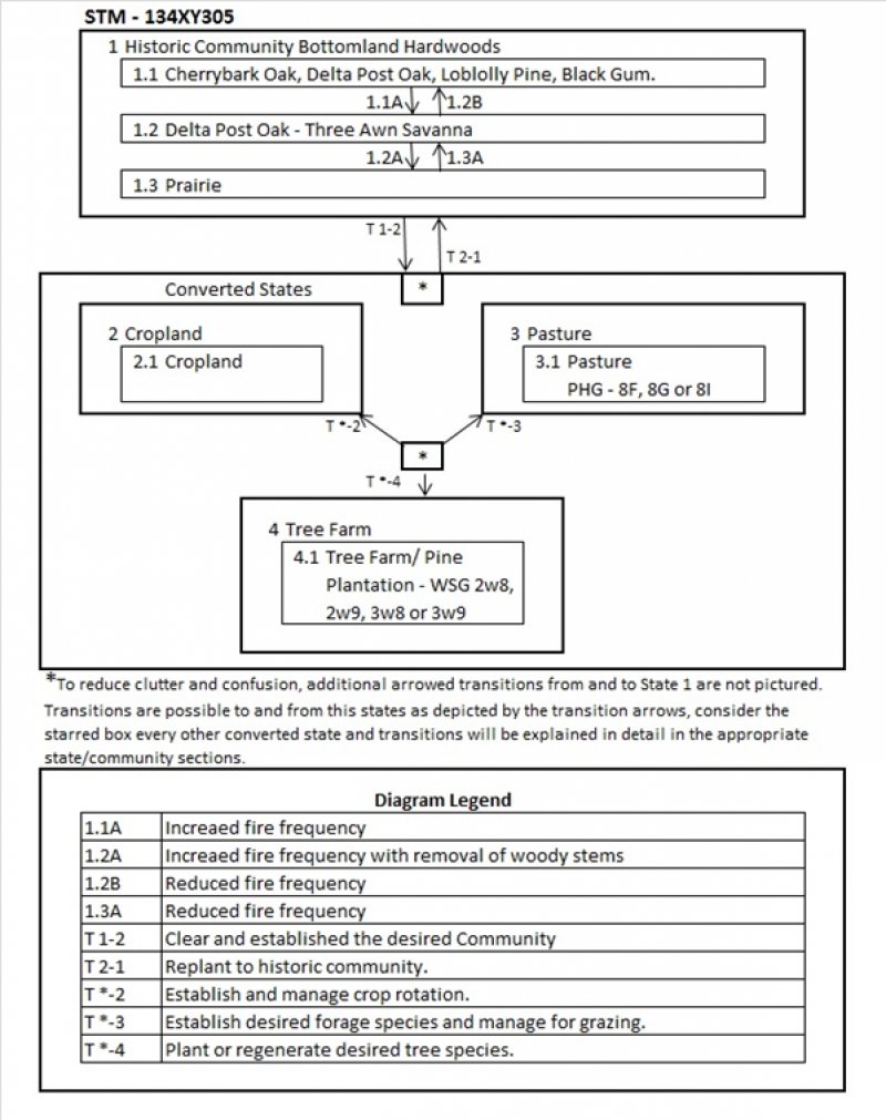 Model diagram