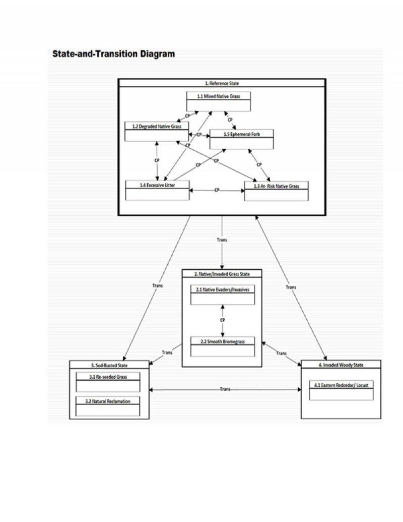 Model diagram