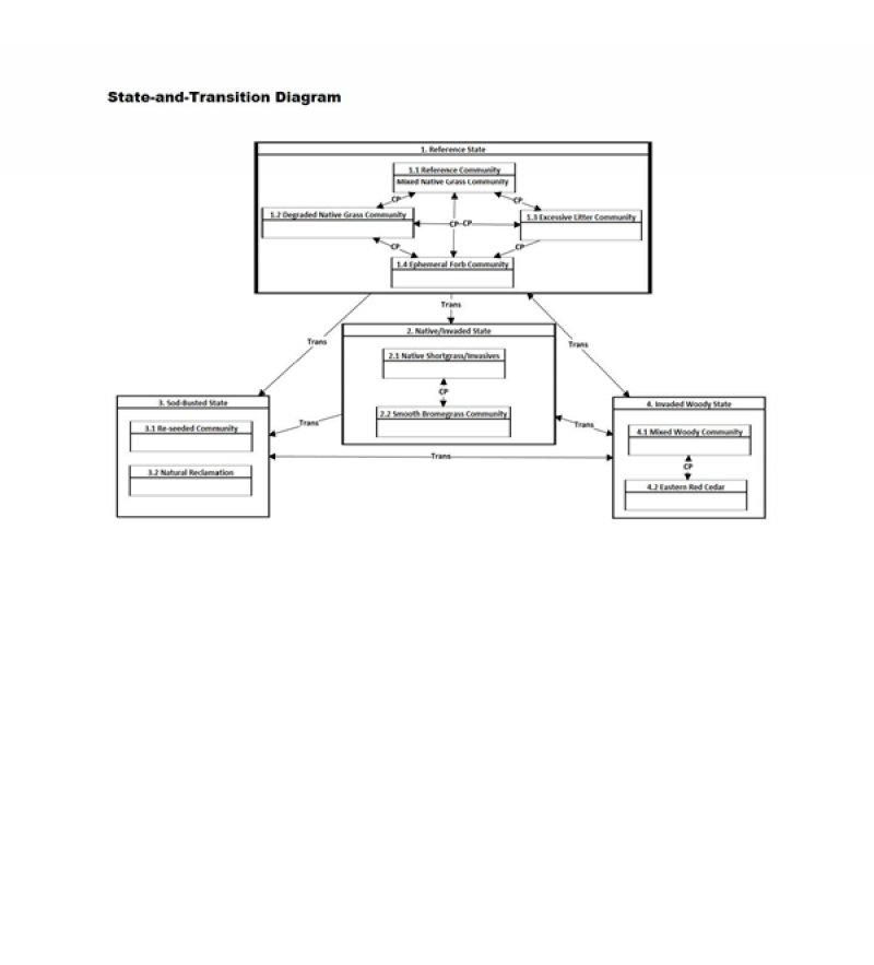 Model diagram